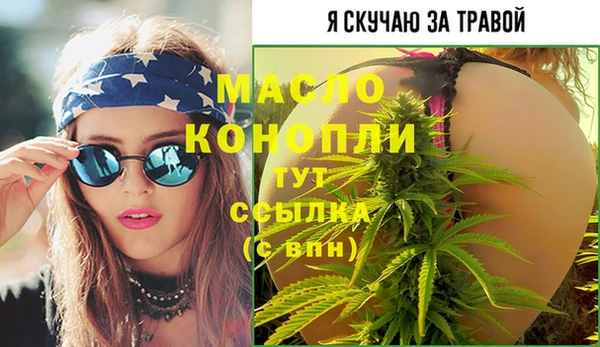 молекула духа Новозыбков