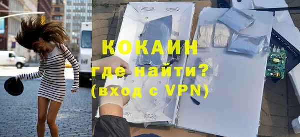 молекула духа Новозыбков