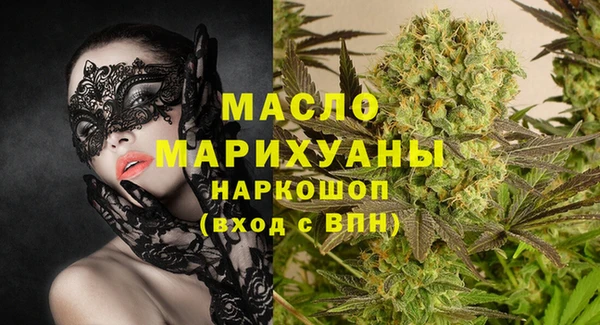 молекула духа Новозыбков