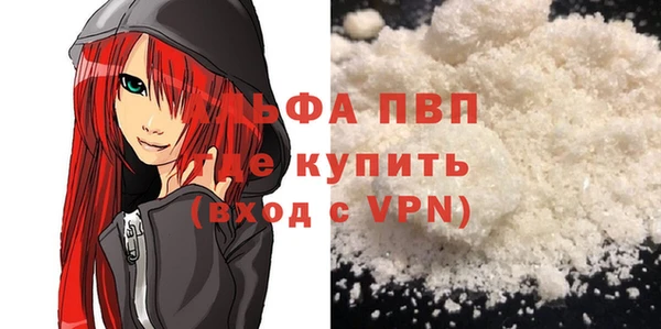 молекула духа Новозыбков