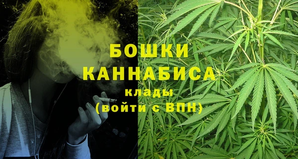 молекула духа Новозыбков