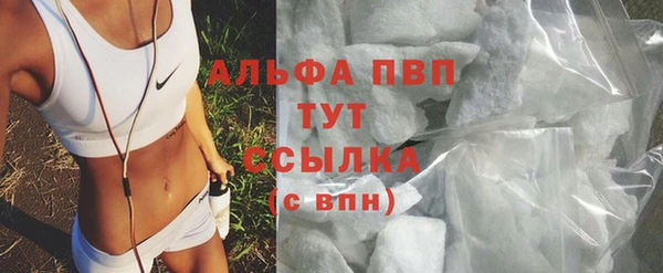 молекула духа Новозыбков