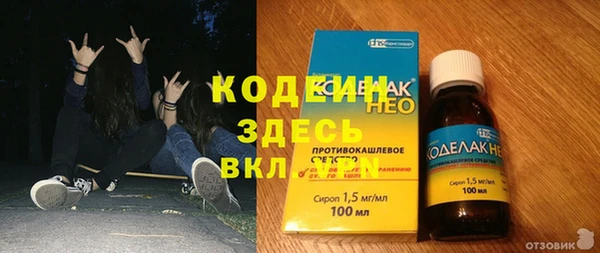 молекула духа Новозыбков