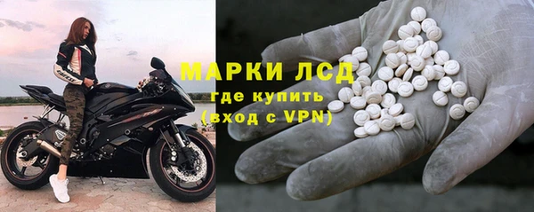 молекула духа Новозыбков
