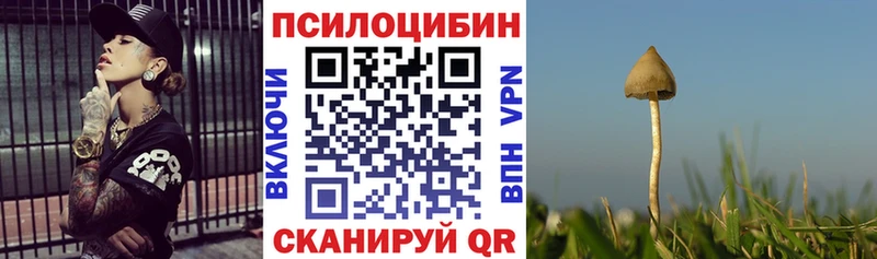 Галлюциногенные грибы мухоморы  мега зеркало  Петровск-Забайкальский 